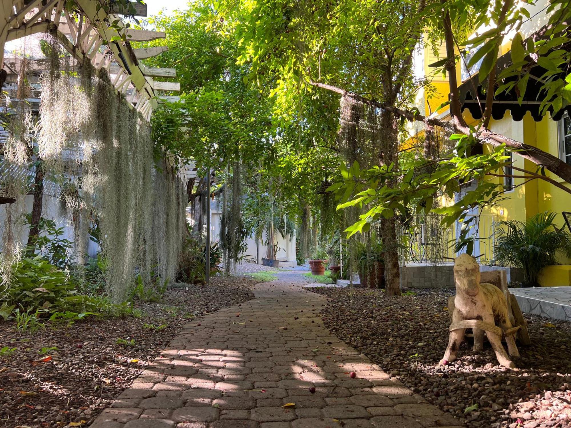 Orchid Cottage キングストン エクステリア 写真