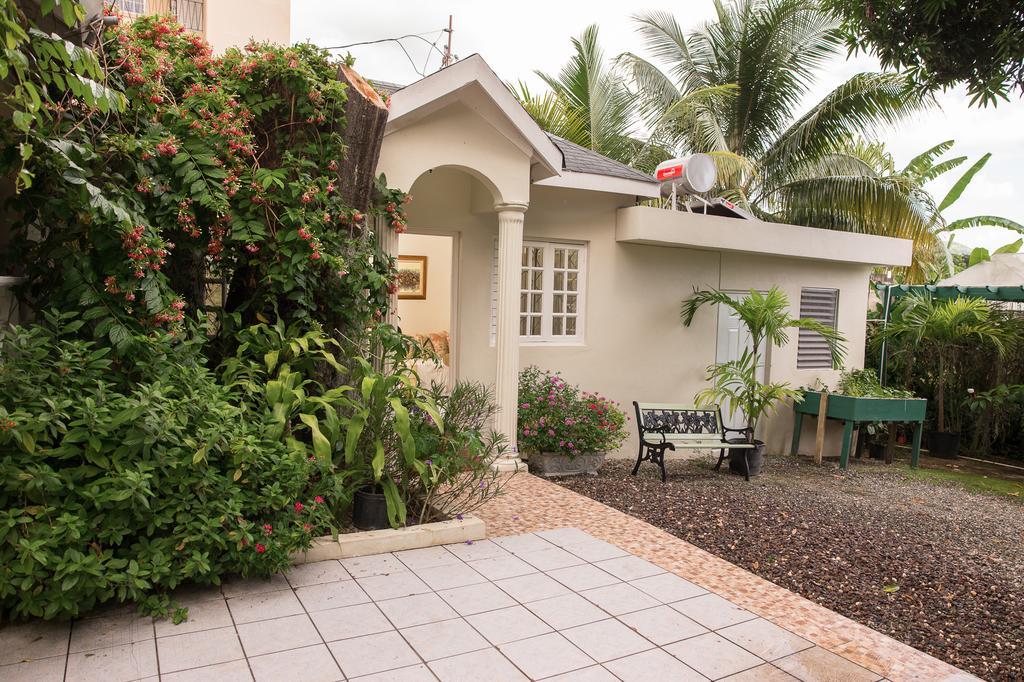 Orchid Cottage キングストン エクステリア 写真