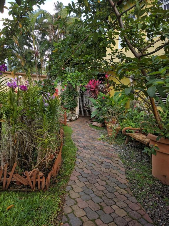 Orchid Cottage キングストン エクステリア 写真
